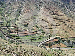 The valley of Vega de Rio Palmas on Fuerteventura