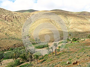 The valley of Vega de Rio Palmas on Fuerteventura
