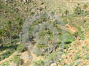 The valley of Vega de Rio Palmas on Fuerteventura