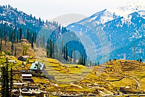 Valley View From Top Manali India