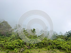 Valley view which is totaly covered with fog from Moir Point which is one of the most significant viewpoints present in Kodaikanal