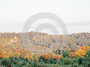 Valley view with yellow-green forest, power lines in the distance and cloudy sky