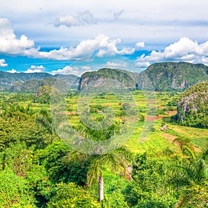 The Valley of Vinales in Cuba