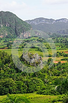 The Valley of Vinales in Cuba