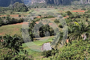 Valley of Vinales Landscape