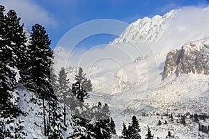 Valley in winter mountains