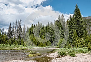 Valleys and rivers in the Rocky Mountains. Shore of a mountain stream