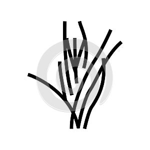 vallisneria spiralis line icon vector illustration