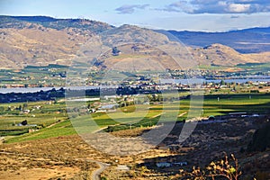 Vally full of Orchard, Fruit Garden In Okanagan Valley, Kelowna, British Columbia