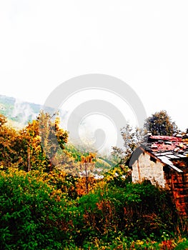 Vally of pokhara nepal green