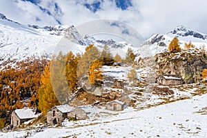 Valmalenco IT - Chiareggio - Alpe dell`Oro photo