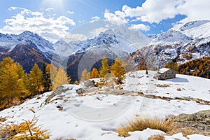 Valmalenco IT - Chiareggio - Alpe dell`Oro in autumn photo