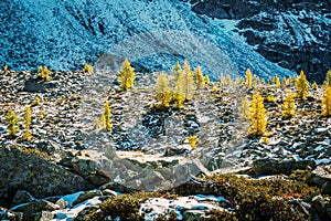 Valmalenco IT - Panoramic