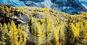 Valmalenco IT - Panoramic