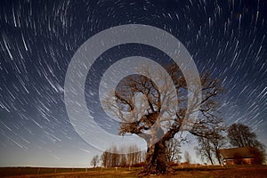 Kanepu Oak is the second largest Latvian oak tree Star trails