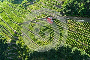 Valtellina IT - Grumello vineyards near Sondrio - Aerial view