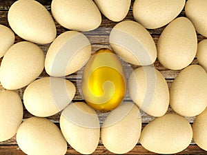 Valuable golden egg