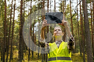 valuation and appraisal of forest. appraiser taking pictures of trees, biomass estimation photo