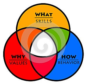 Values skills behavior photo