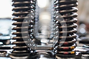 Valve spring. engine part in a rosette form, in oil