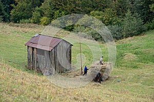 Vama, Romania, September 27th, 2019, Portraiture of family at barn with hay in Bucovina