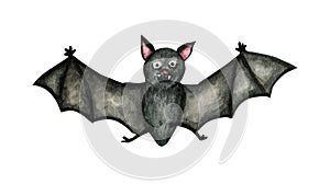 Vampire Bat flying cartoon scary halloween icon. Watercolor illustration isolated on white background. Design for