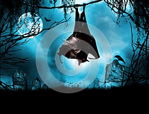 Vampire bat hanging over grave
