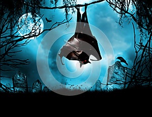 Vampire bat hanging over grave photo