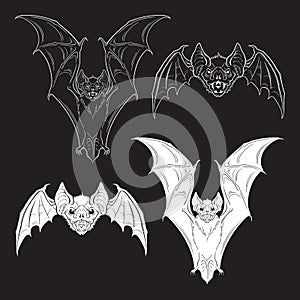 Vampire bats gothic clipart set. Witch familiar spirit, halloween or pagan witchcraft theme print design vector illustration