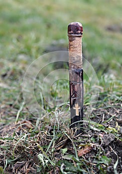 Vampire still life with wooden stake in the ground photo