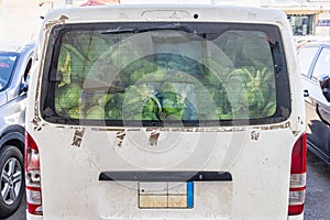 A van full of cabbages in Medina