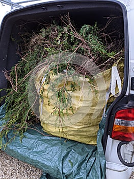 A van load of garden waste in a dumpy bag photo