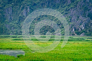 Van Long Nature Reserve in Ninh Binh