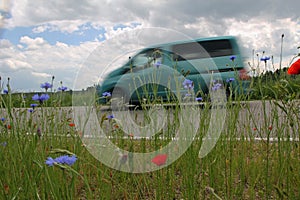 Van on the way, country road with red poppy and corn flowers