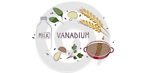 Vanadium-containing food. Groups of healthy products containing vitamins and minerals. Set of fruits, vegetables, meats