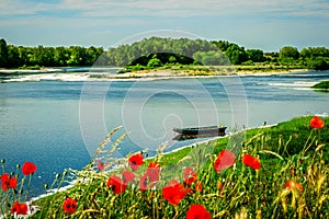 The Loire River in spring with poppies on the dike. photo