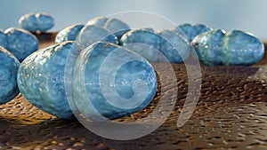 Vancomycin-resistant Enterococcus or VRE, Enterococcus faecalis