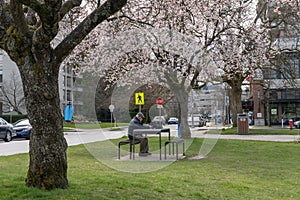 Jim Everett Memorial Park in spring time. Vancouver, BC, Canada