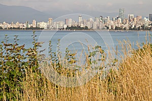 Vancouver BC Downtown from Hasting Mills Park