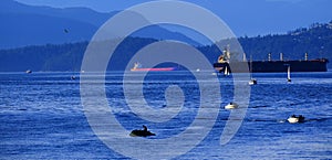 Vancouver British Columbia Canada Bay with Tankers and Boats in Ocean Water
