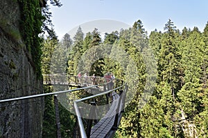 Visitors exploring the Capilano Cliff Walk through rainforest. The popular suspended walkways juts out from the granite cliff