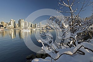 Vancouver and False Creek under snow photo