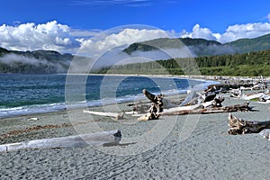 Vancouver Island with Pacheedaht Beach near Southern End of West Coast Trail, Port Renfrew, British Columbia