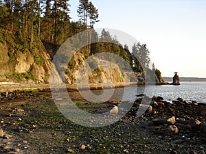 Vancouver Seawall Promenade Stanley Park