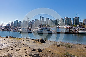 The Vancouver skyline across Coal Harbour from the sea wall on Stanley Park