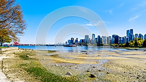 The Vancouver Skyline and Harbor in British Columbia, Canada