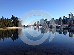 Vancouver skyline from Stanley Park