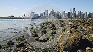 Vancouver Skyline, Stanley Park Shore