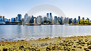 The Vancouver Skyline viewed from the walking and biking path on the Seawall in Stanley Park