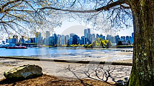 The Vancouver Skyline viewed from the walking and biking path on the Seawall in Stanley Park